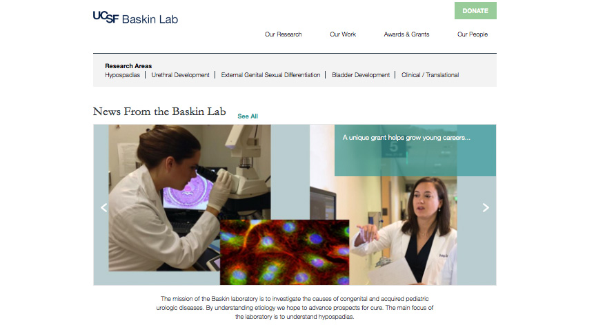 Index page of new Baskin lab website