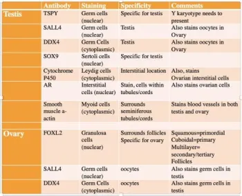 recommended immunohistochemical panel
