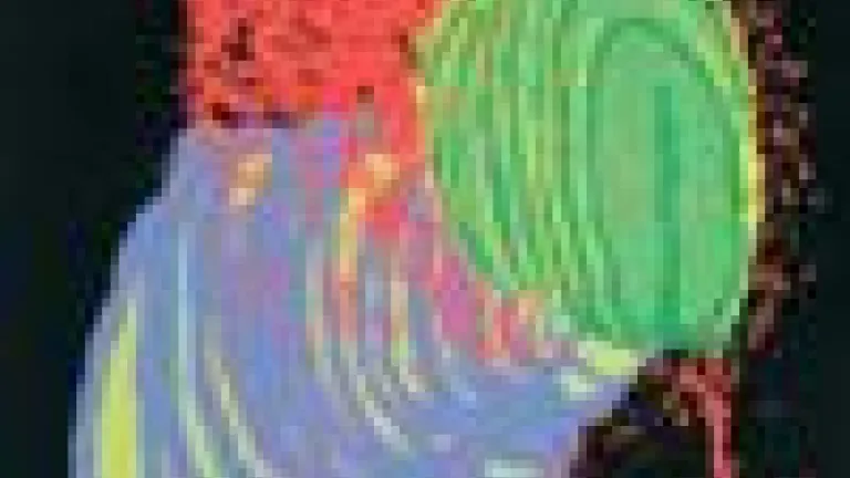 external genitalia neuroanatomy