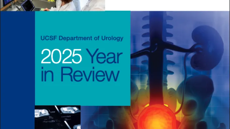 Urology Year in Review 2025