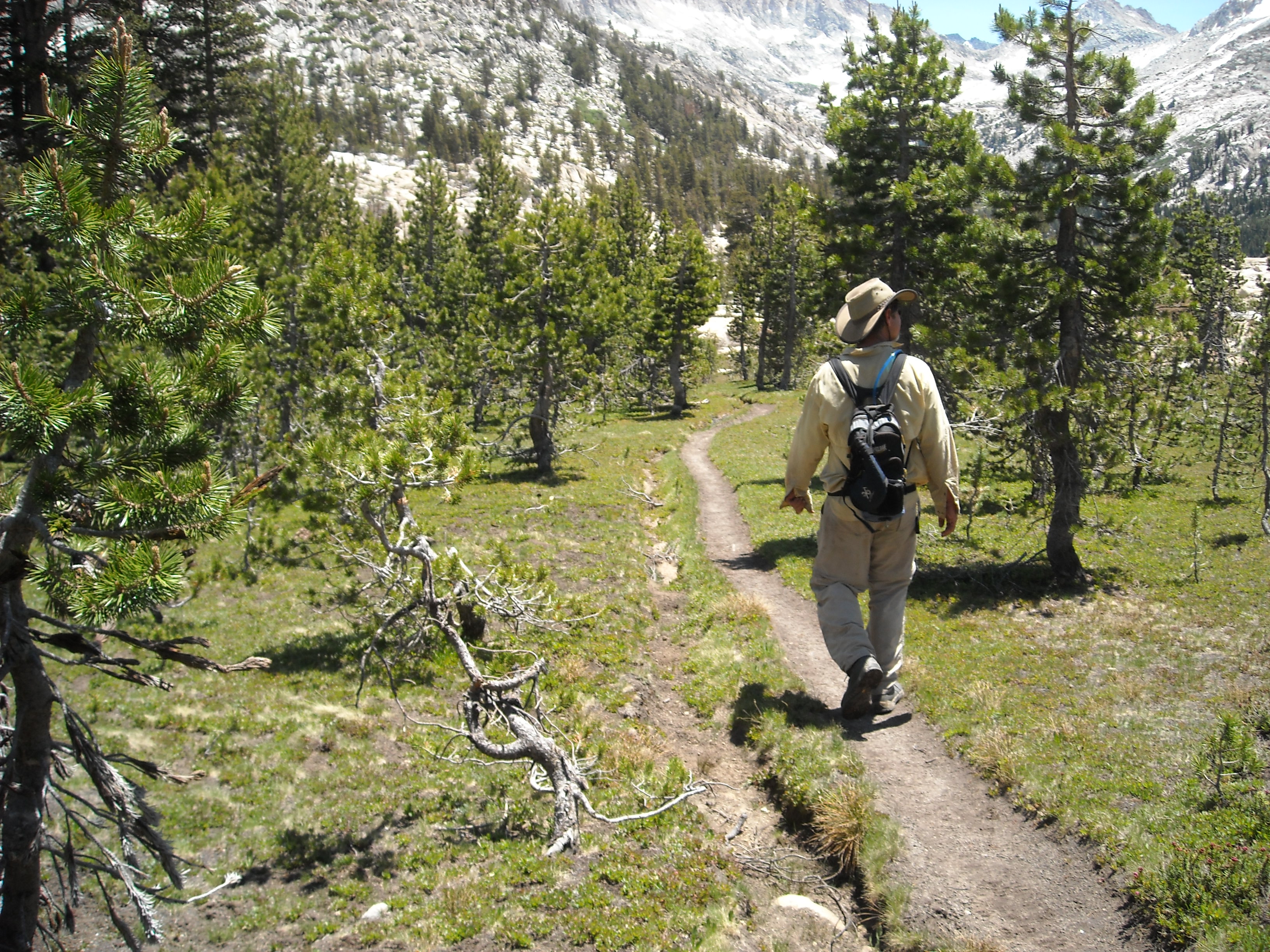 Man hiking in wilderness