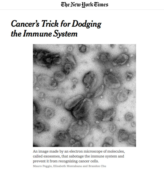 New York Times