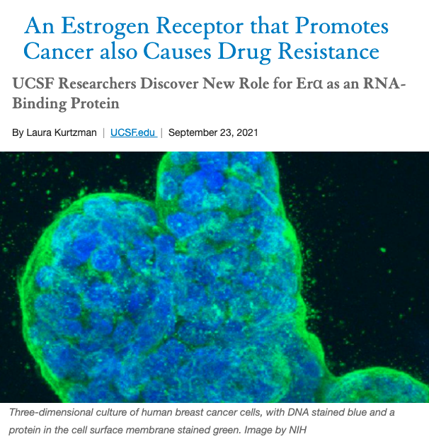 screenshot of article title