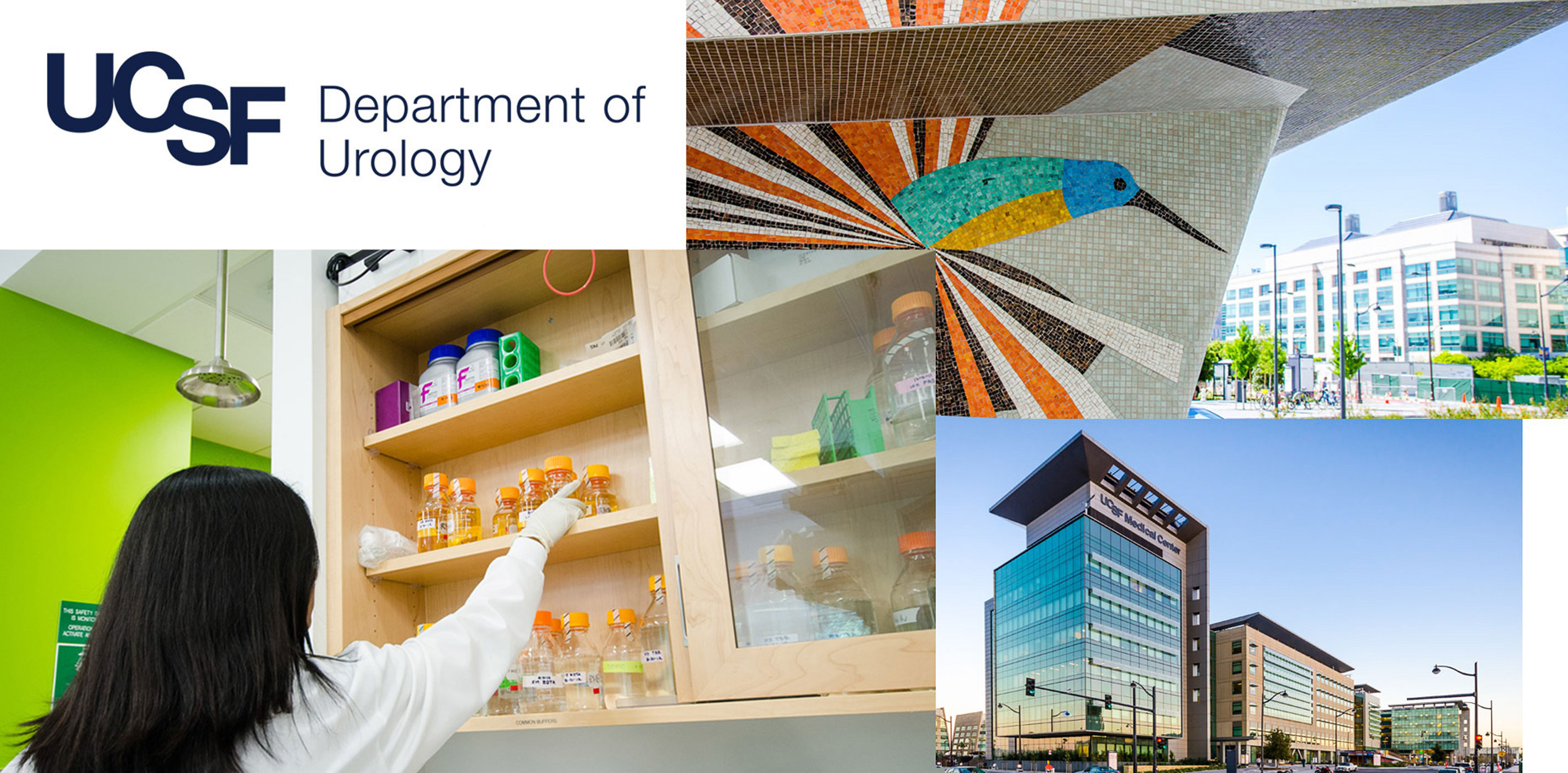 UCSFUrology collage