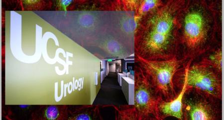 UCSF Urology wall